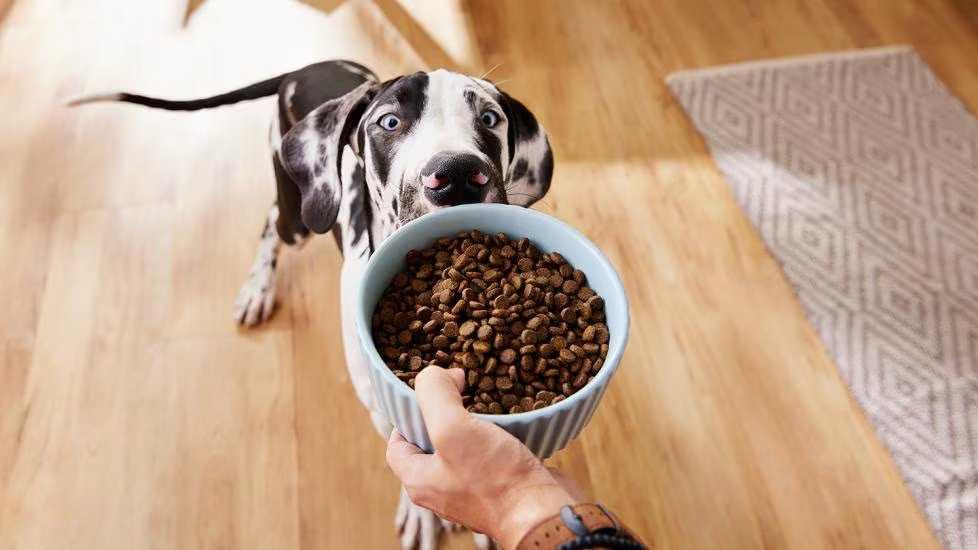 Pet Foods for Dog 1kg
